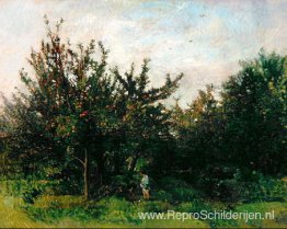 Een Appelboomgaard