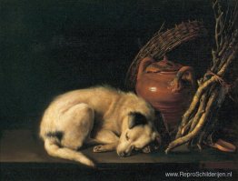 Een slapende hond met terracotta pot