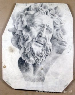 Het hoofd van Laocoon