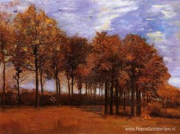 Herfst landschap