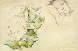 Madame Cezanne met Hortensia's