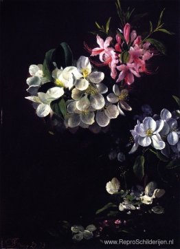 Schets van appelbloesems met meibloemen