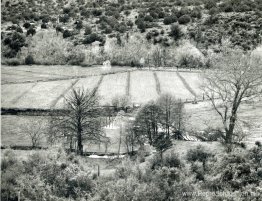 Arizona-landschap