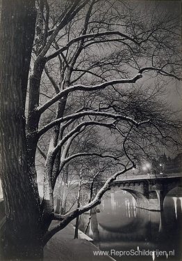 Les arbres des quais met le Pont-Neuf