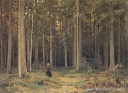 Het bos van gravin Mordvinov