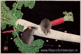 Japanse Radijs, Ratten en Wortel