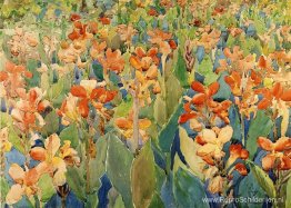 Bed of Flowers (ook bekend als Cannas of The Garden)