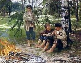 Drie jongens in het bos