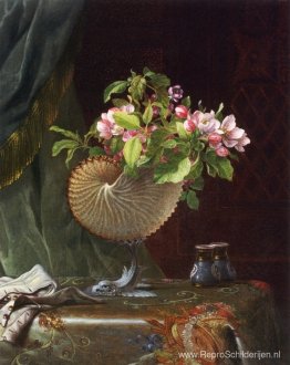 Stilleven met appelbloesems in een Nautilusschelp