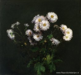 Boeket witte chrysanten