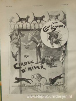 Getrainde katten in circus