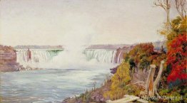 Uitzicht op beide watervallen van Niagara