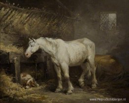 Paard en hond in een stal