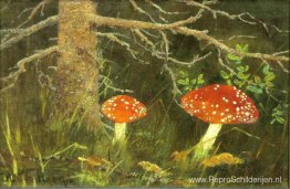 Paddestoelen onder de boom