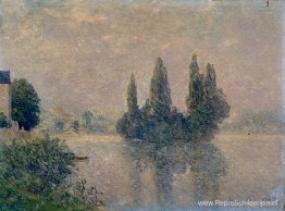 Mist op de Seine (De Andelys)