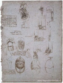 Studies van de Villa Melzi en anatomische studie