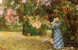 Mevrouw Hassam in Villiers-le-Bel