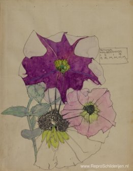 Petunia, Walberswijk