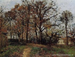 Bomen op een heuvel, herfst, landschap in Louveciennes