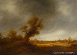 Landschap met een oude eik