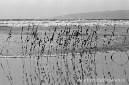 Haar en draad, Venice Beach