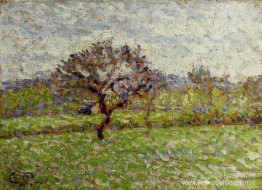 Een appelboom in Eragny