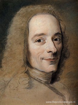 Voorbereiding op het portret van Voltaire