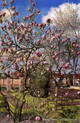 Landschap met Magnolia