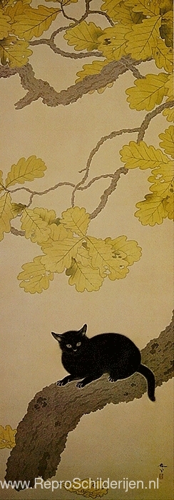 Zwarte Kat (Kuroki Neko)